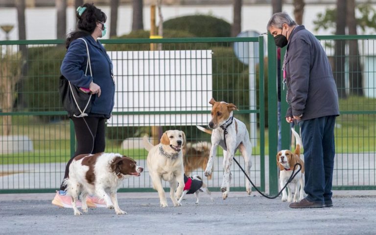 Huelva cuenta en Pescadería con una nueva zona de esparcimiento canino