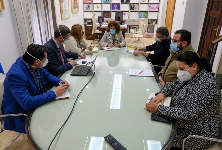 La presidenta de la Diputación de Huelva aborda con Endesa el plan de inversión 2021/23 en la provincia