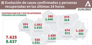 Huelva (248), Cartaya (50), Moguer (34) y Ayamonte (30), municipios más afectados por los 651 casos de un viernes con un muerto en Aracena