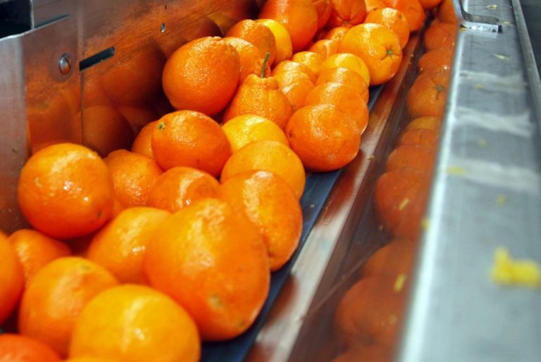 Empresa agrícola busca 20 personas para la campaña de cítricos en su almacén de Cartaya