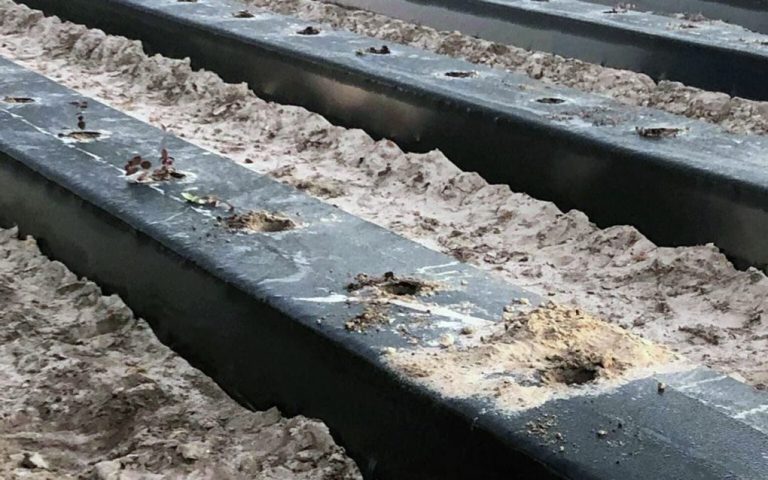 Asaltan una finca en Lucena y se llevan más de 30.000 euros en plantas de arándanos