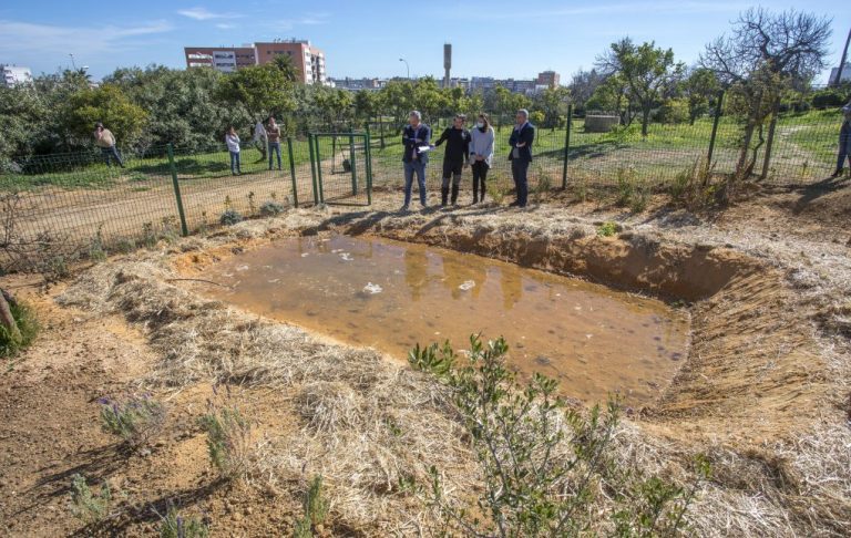 Habilitan una nueva charca para anfibios en el Parque Moret de Huelva