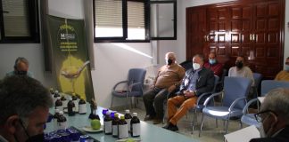 Expertos deciden en una cata a ciegas el mejor aceite de oliva virgen de la provincia de Huelva