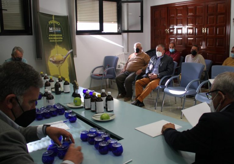 Expertos deciden en una cata a ciegas el mejor aceite de oliva virgen de la provincia de Huelva