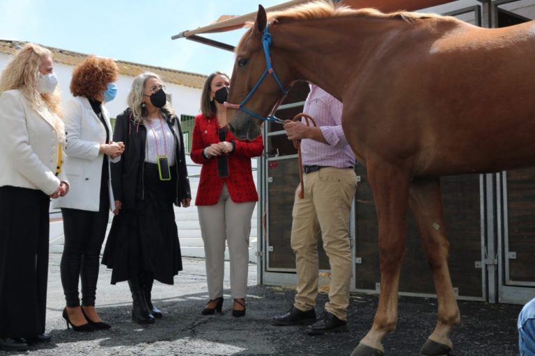 La Feria del Caballo de Cartaya da un «salto de calidad y especialización»