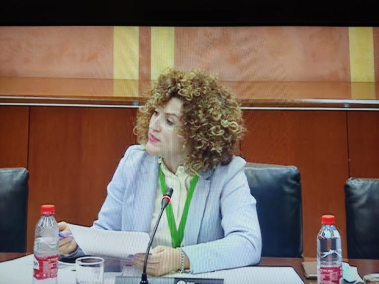 Limón pide a la Junta que rectifique y presente un nuevo texto consensuado del Plan de la Corona Norte de Doñana