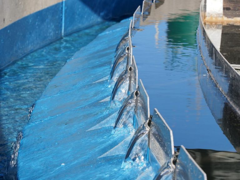 Giahsa celebra el Día Mundial del Agua apelando al consumo moderado y responsable