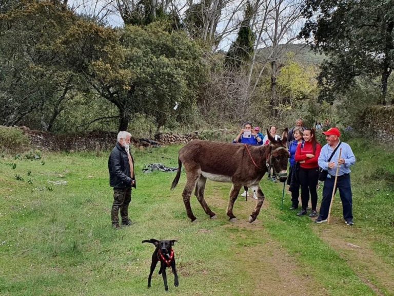 Más de 30 cartayeros se adentran en la dehesa onubense gracias al programa ‘Deporte en la Naturaleza’