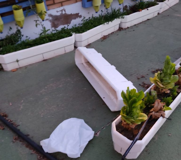 Triste sorpresa en Cartaya: alumnos regresan a clase y encuentran el huerto destrozado, preservativos, pintadas, cristales rotos y restos de hogueras