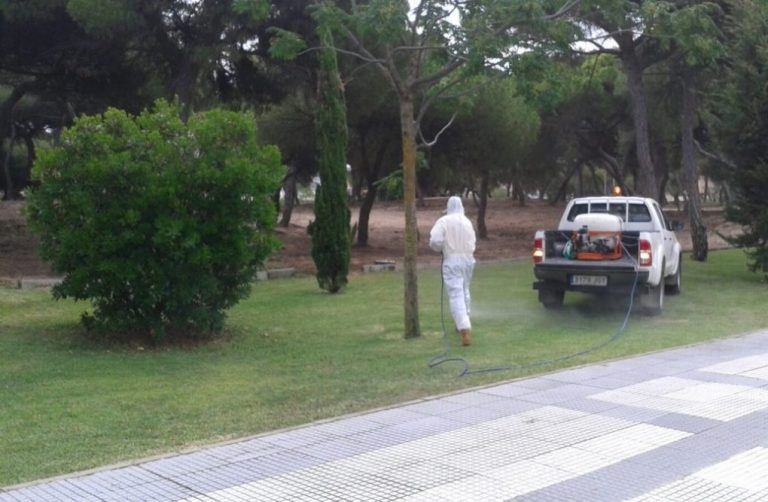 Diputación de Huelva y Ayuntamiento inician la campaña de control de mosquitos de este año en Punta Umbría