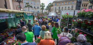 El Mercado de las Flores y las Plantas vuelve a la Plaza de las Monjas de Huelva este fin de semana