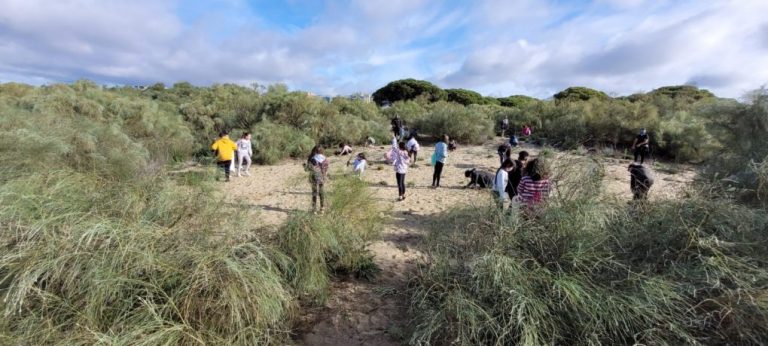 Escolares de todos los centros educativos de Isla Cristina plantan 600 pinos en el Cordón Dunar