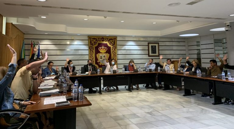 El Pleno de Punta pide una actuación contraincendios urgente en varios parajes naturales de la localidad