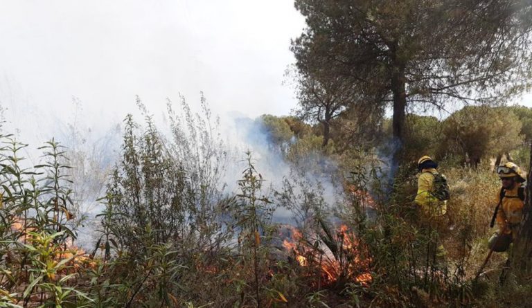 Infoca da por extinguido el incendio declarado este lunes en un pinar de Aljaraque