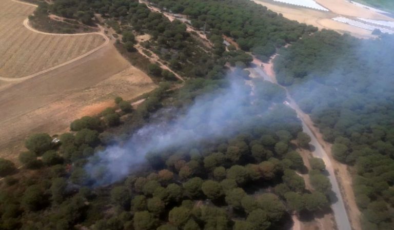 Bomberos del Infoca trabajan en la extinción de un incendio en un pinar de Aljaraque