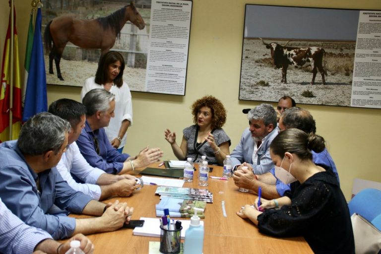 Diputación y la Asociación de Ganado Marismeño seguirán velando por la continuidad de esta raza onubense