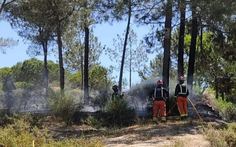 Bomberos del Consorcio extinguen un incendio de pasto y matorral en un pinar de Islantilla