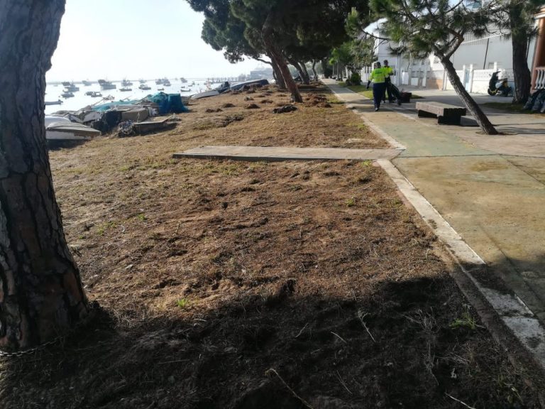 El Ayuntamiento de Punta Umbría acomete un plan de limpieza en la Ría