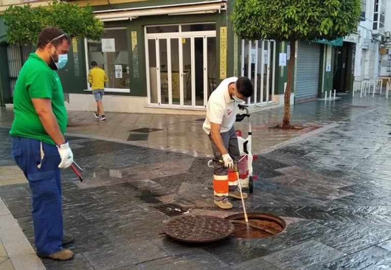 Arranca en Ayamonte la campaña de control de cucarachas en la red de alcantarillado