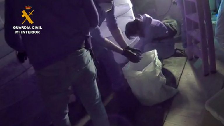 Dos detenidos en el desmantelamiento de una plantación de marihuana en un garaje de Escacena