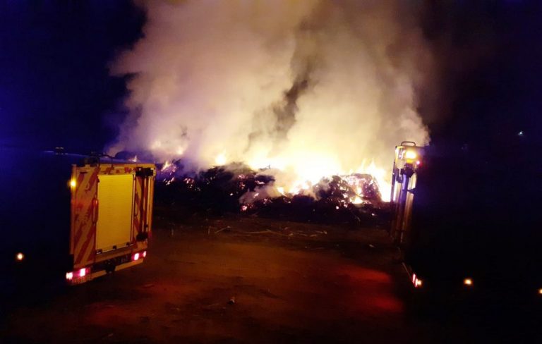 Bomberos rescatan un caballo atrapado en un lodazal en Ayamonte y en la extinción de un fuego en Islantilla