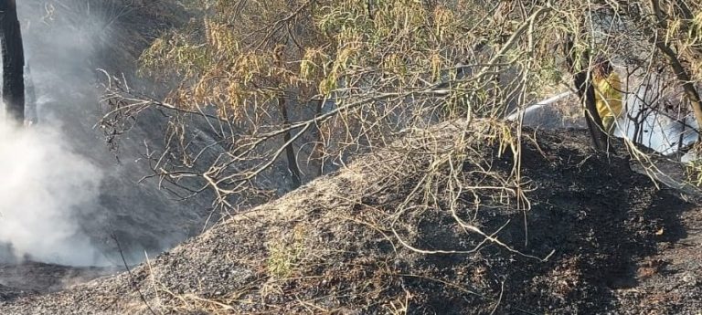 Infoca controla un segundo incendio registrado este sábado en Palos de la Frontera