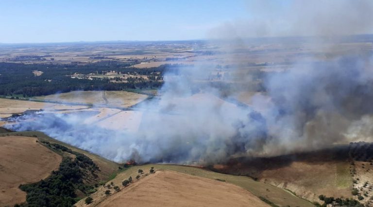El Infoca controla el incendio que ha afectado esta tarde al término de Lucena del Puerto