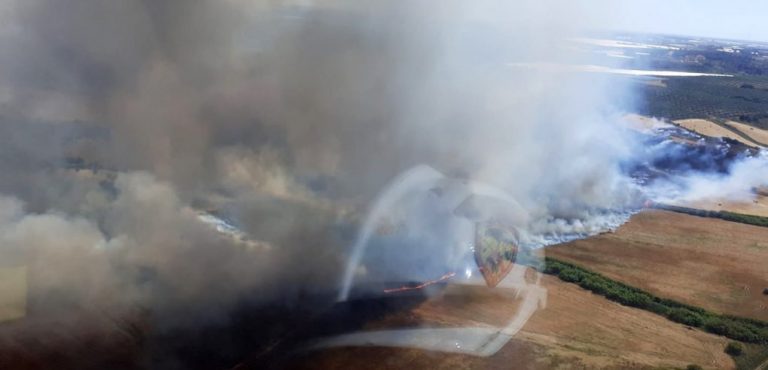 Efectivos del Infoca trabajan en la extinción de dos incendios forestales en Lepe y Lucena del Puerto