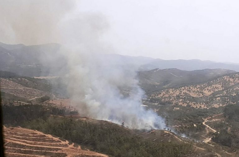 Efectivos del Infoca luchan contra las llamas en un incendio en Almonaster la Real