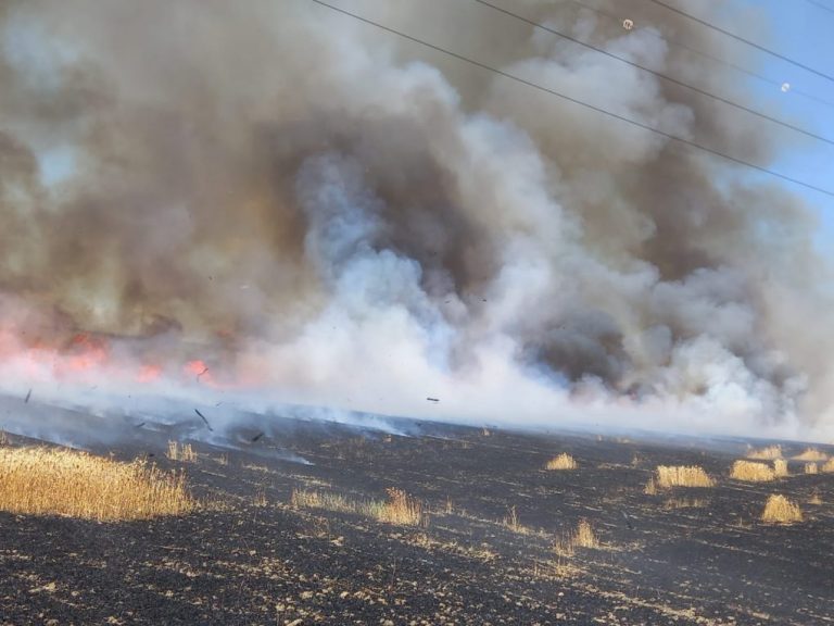 Efectivos de Infoca y del Consorcio de Bomberos controlan un incendio de pastos en Manzanilla