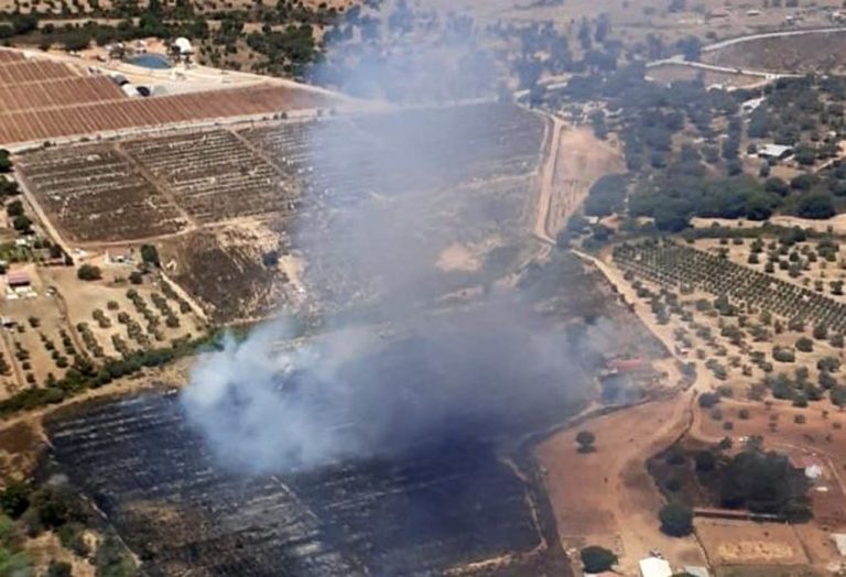 Efectivos de Infoca controlan un incendio forestal en el paraje Valdejudíos de Villablanca