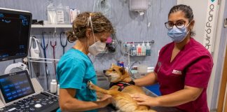 Diputación de Huelva convoca 105 becas de empleo dirigidas a jóvenes de la provincia