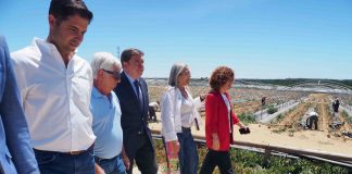 Planas asegura que los agricultores onubenses van a recibir más ayudas con la nueva PAC