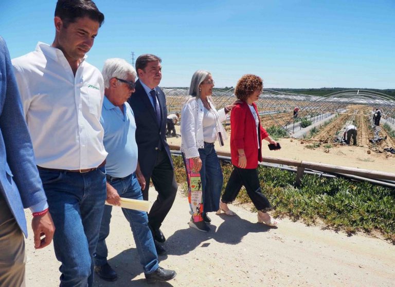 Planas asegura que los agricultores onubenses van a recibir más ayudas con la nueva PAC
