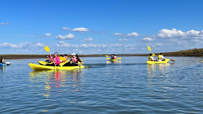 El CD Piragüismo Tartessos Huelva insta a proteger  Marismas del Odiel en el día Mundial del Medioambiente