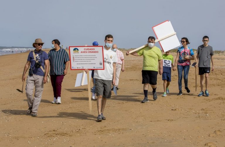 Señalizan la playa del Espigón de Huelva para proteger aves costeras nidificantes