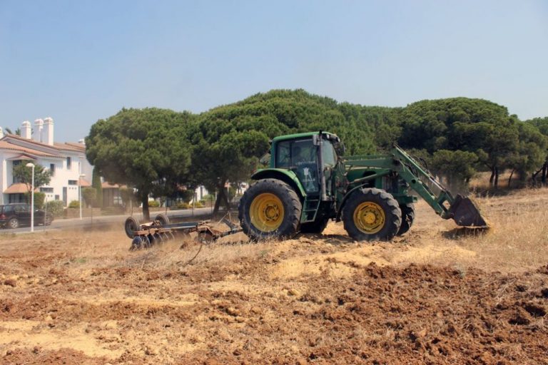 Cartaya: la «falta de respuesta» de la Junta a la necesidad de cortafuegos pone en riesgo sus 12.000 has de pinar