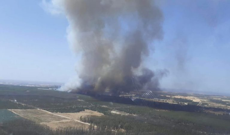Efectivos de Infoca luchan contra un incendio en el paraje ‘El Corchito’ de Bonares