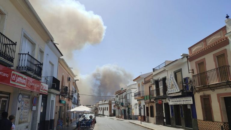 Activado el nivel 1 del Plan Infoca por el incendio que desde las 16:15 arrasa el paraje ‘El Corchito’ en Bonares