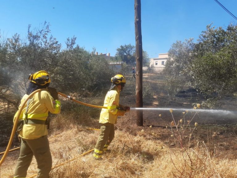 Infoca y Consorcio combaten un incendio junto al casco urbano de Linares de la Sierra