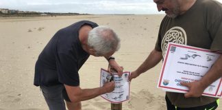 Ayamonte agradece la colaboración ciudadana en la campaña de protección de aves en la playa de Isla Canela