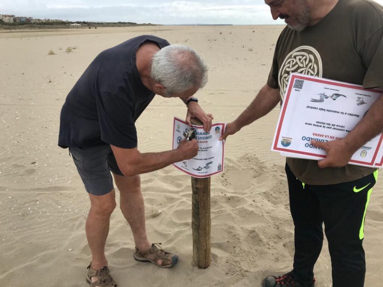Ayamonte agradece la colaboración ciudadana en la campaña de protección de aves en la playa de Isla Canela