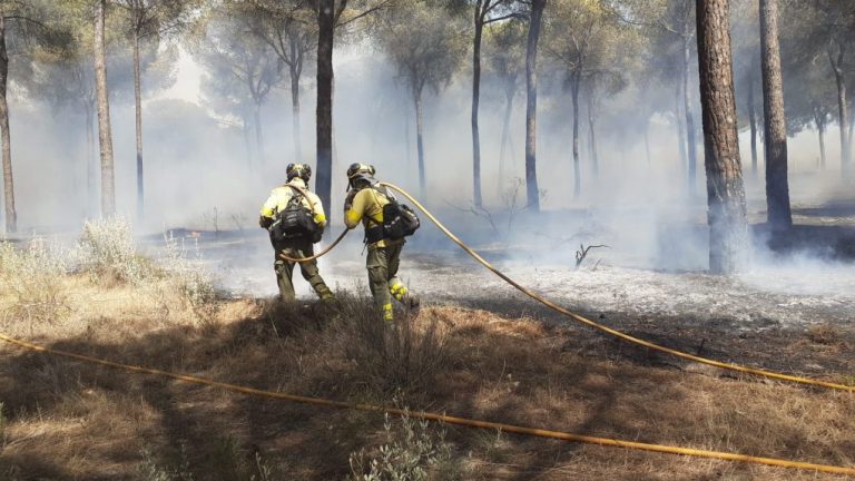 El Infoca aumenta los medios en Almonte para atender una reactivación del incendio