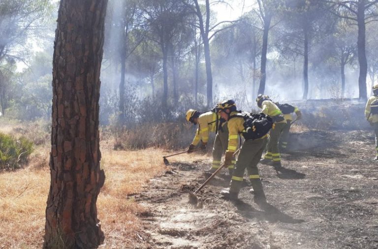 Desactivado el nivel 1 en incendios de Almonte y Bonares y se permite volver a desalojados