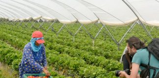 Agricultores de Almonte lamentan que la reputación de Doñana preocupa más en España y Europa que en Andalucía