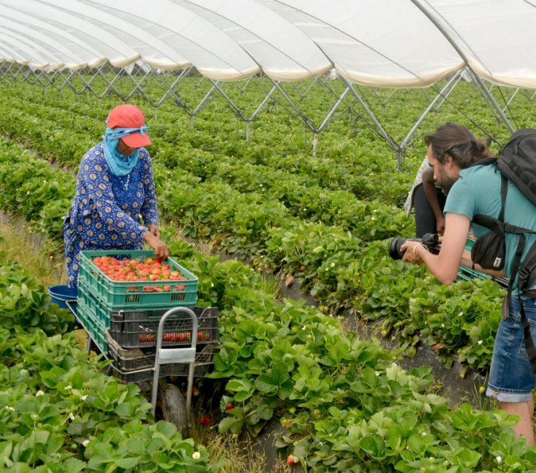 Agricultores de Almonte lamentan que la reputación de Doñana preocupa más en España y Europa que en Andalucía