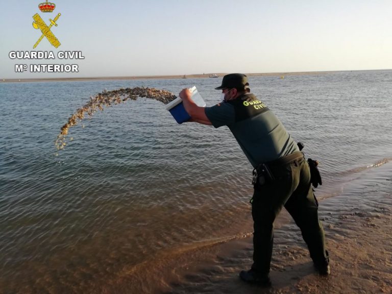 Investigadas seis personas por marisqueo ilegal en la costa de Huelva