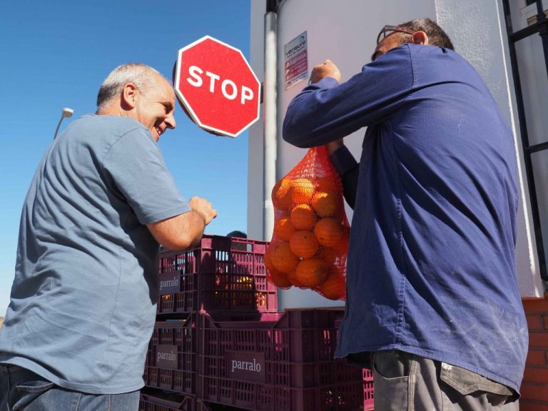 Agricultor onubense regala 2.500 kilos de naranja antes de tirarlas por el bajo precio al que se la pagan los mercados