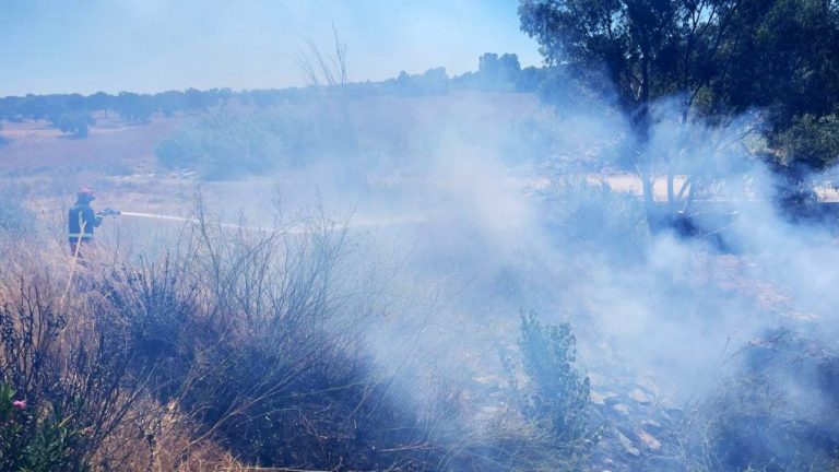 Bomberos del Consorcio extinguen un incendio junto a la A-49, en Gibraleón