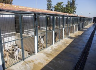 El Centro de Acogida de Animales de Huelva registra la adopción de 34 perros en el primer semestre del año